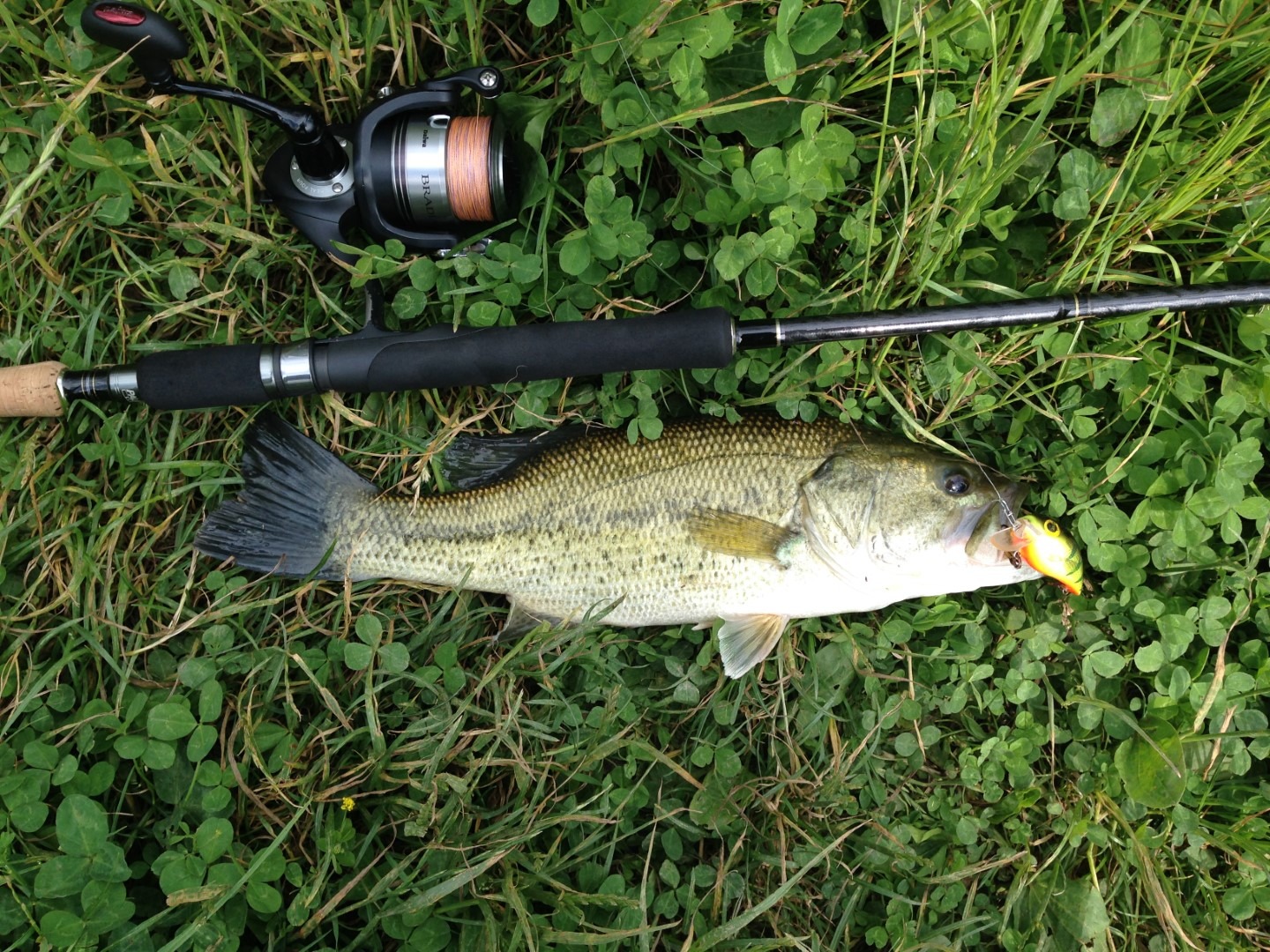 Ivanečki cruiser ulovljen na crankbait