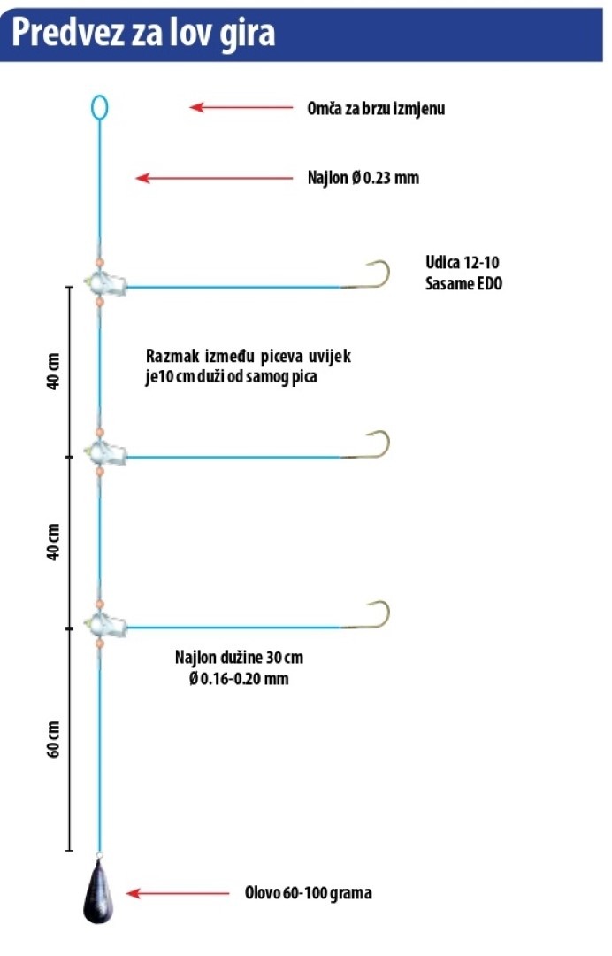 Predvez za lov girovki