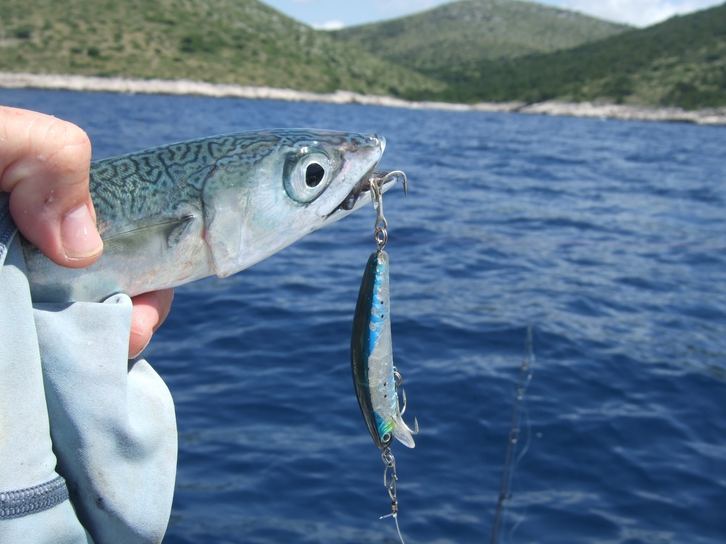 Priprema pribora za ribolov panulom