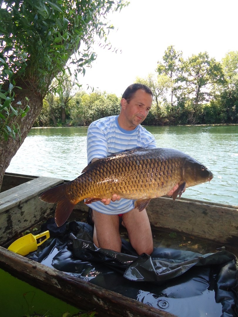 Koranski divljak od 10 kilograma