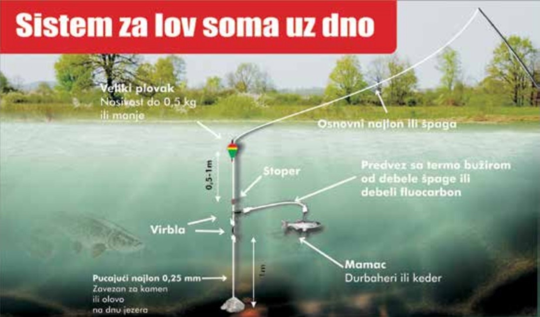 Shema - lov soma uz dno