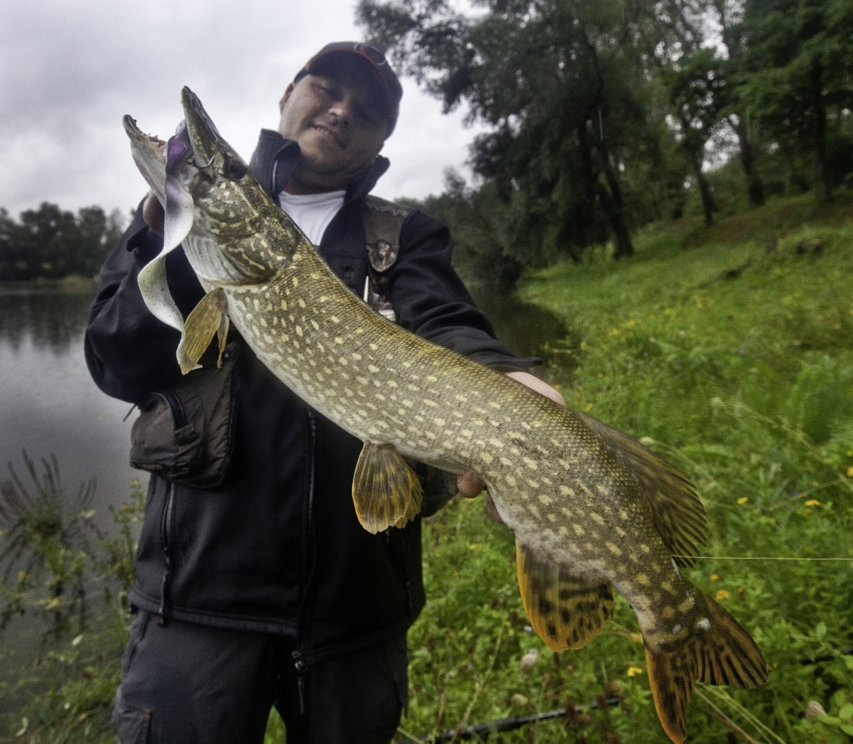 Oktalz sa štukom od 76 cm ulovljenom na Real Eel