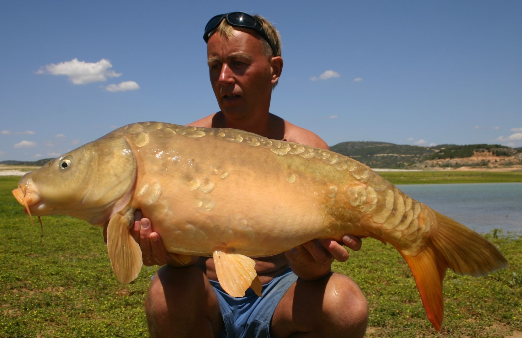 Još jedan lijep šaran