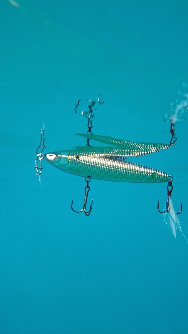 Yo-zuri Sashimi pencil SW 100 mm