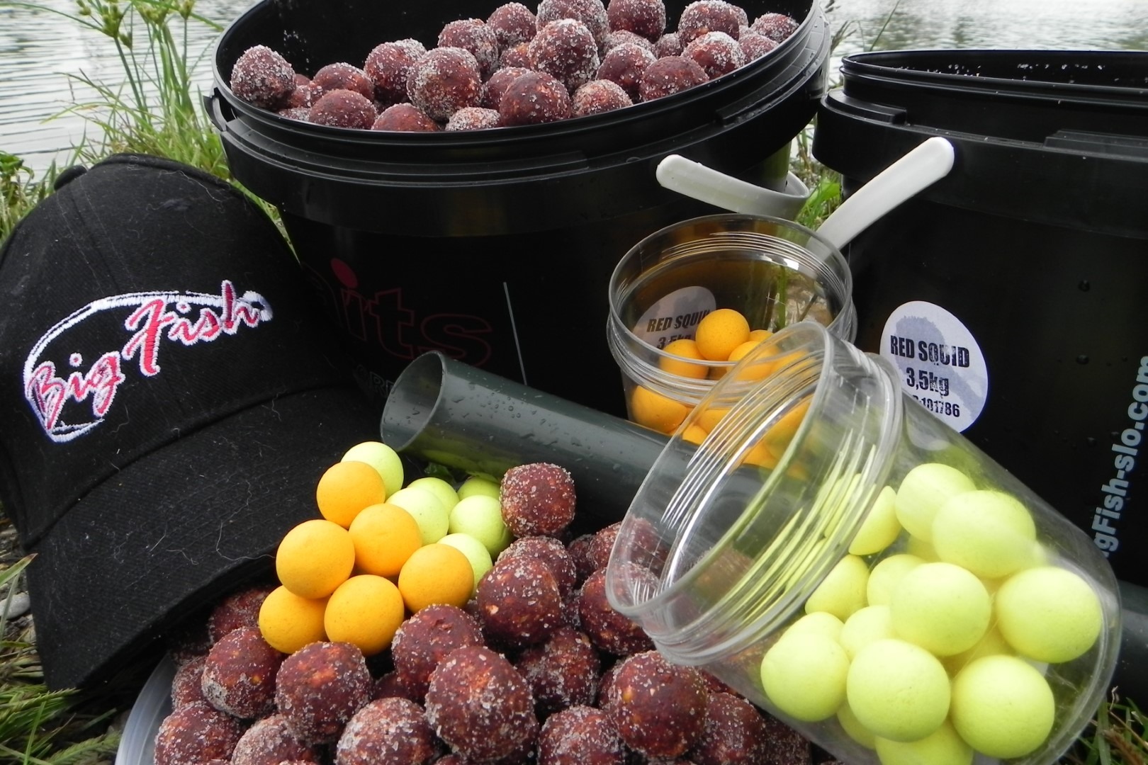 BFBaits Red Squid boile i pop up kombinacija