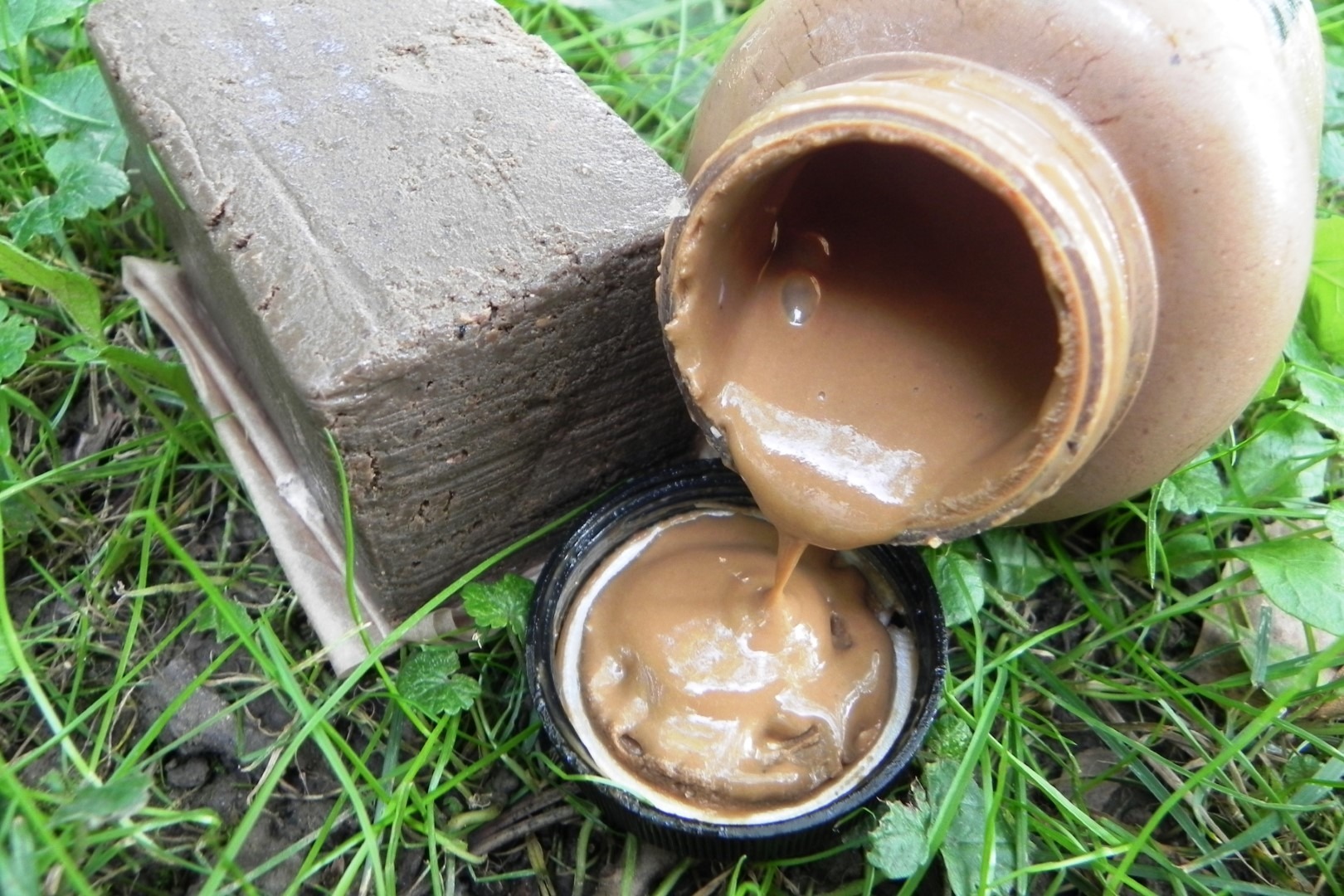 Belachan kocka i Belachan dip