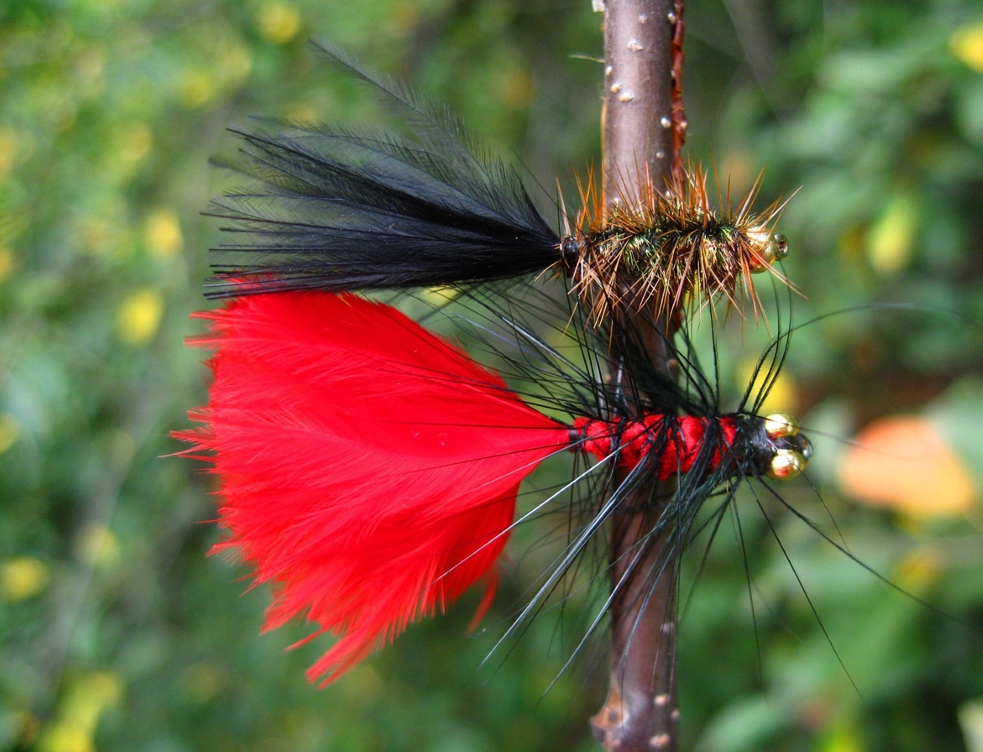 Wooly bugger streamer varijacija 1