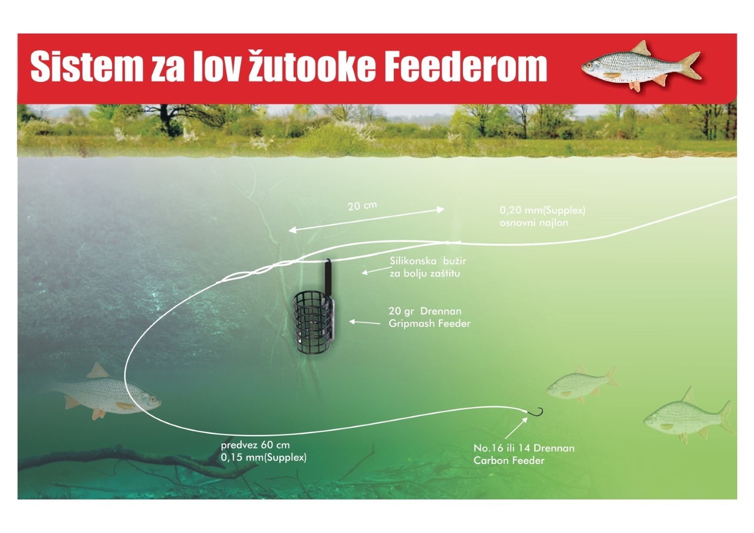 Shema feeder sistema za žutooke