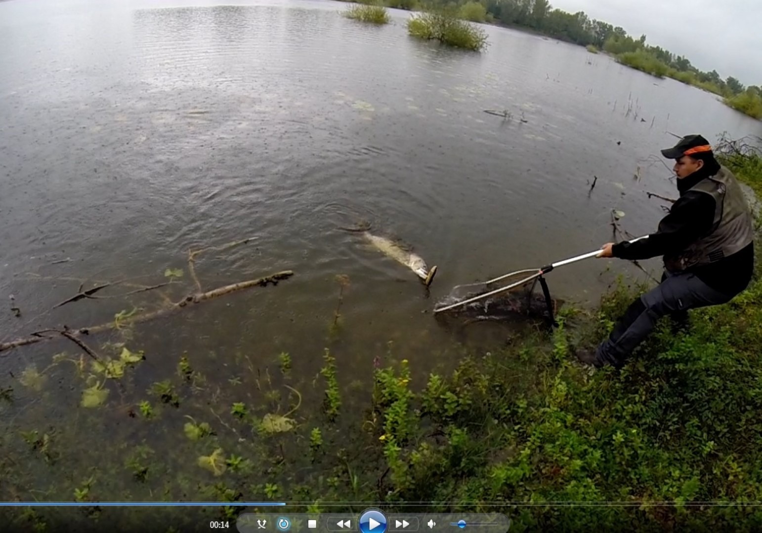 YouTube snimka 3D Rattle Trout u akciji