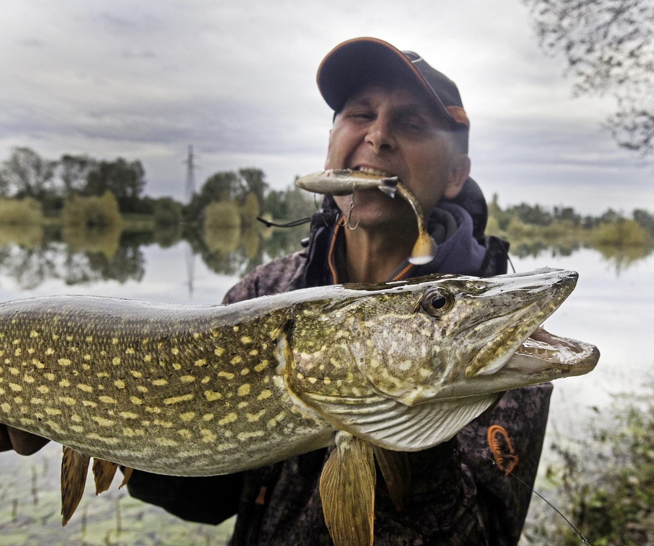 Štuka ulovljena na veliki swimbait