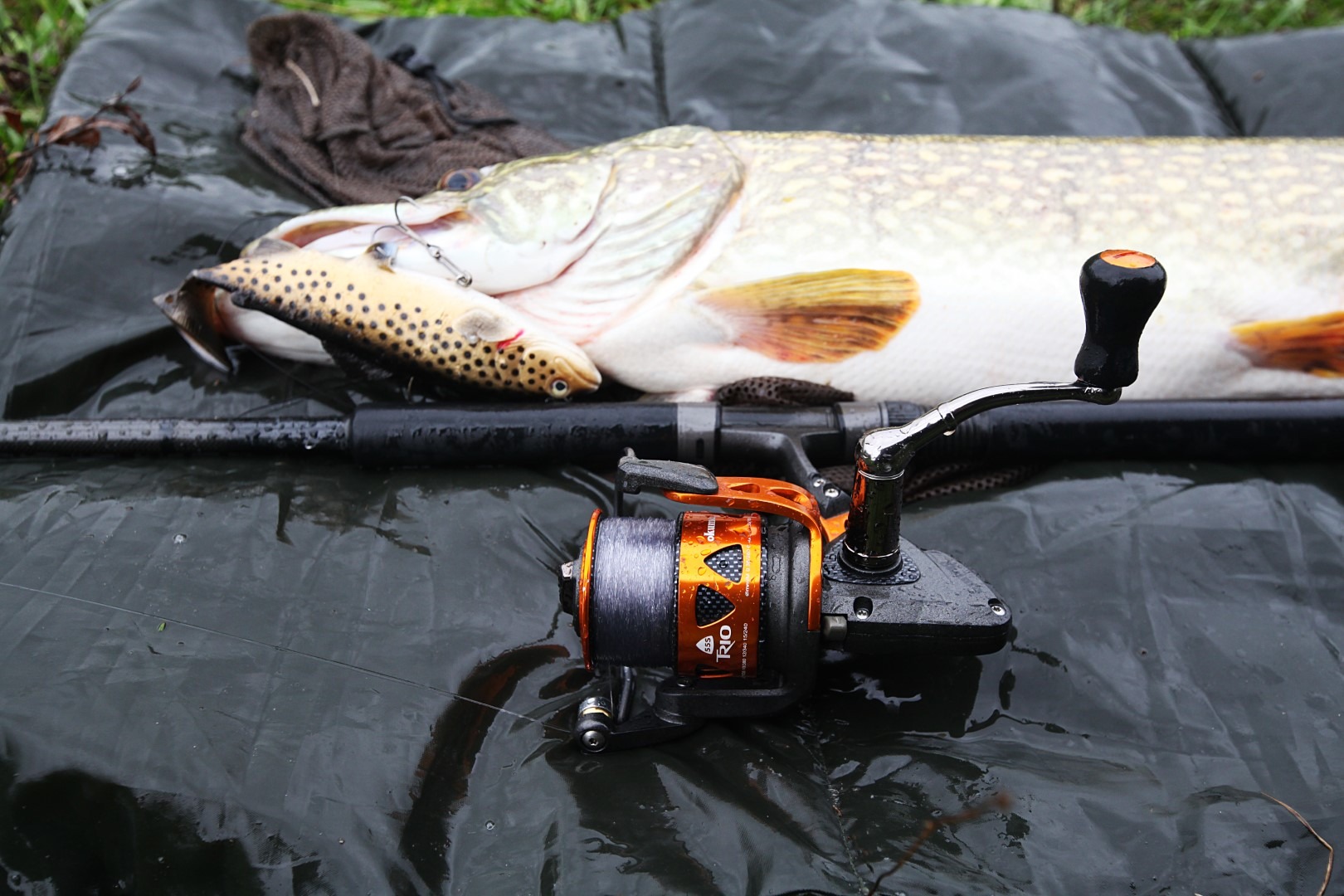 Pristupačnija oprema za swimbait ribolov