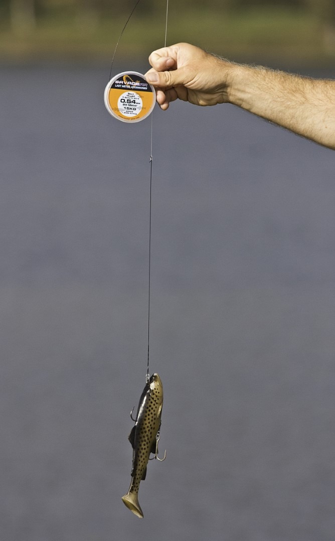 Gotov predvez za swimbait
